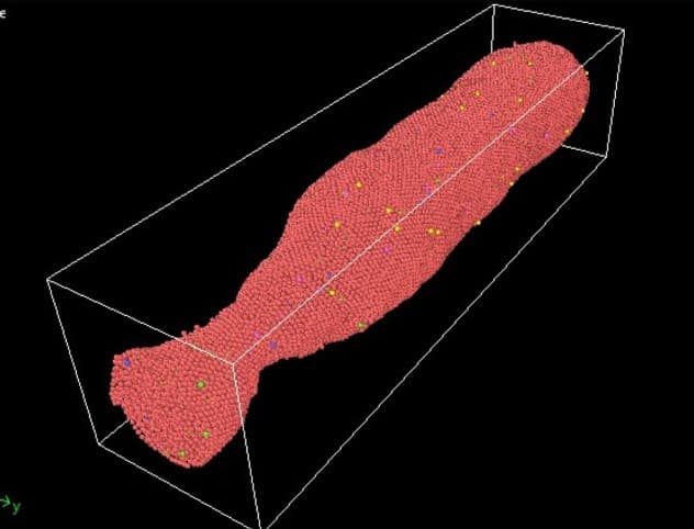 Molecular Dynamics Simulations